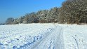 IMG_6745