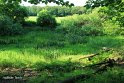 IMG_6904