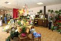 IMG_7247