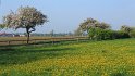 IMG_7267