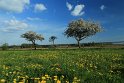 IMG_7350
