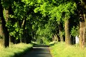 IMG_9059