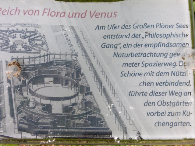 P1350587