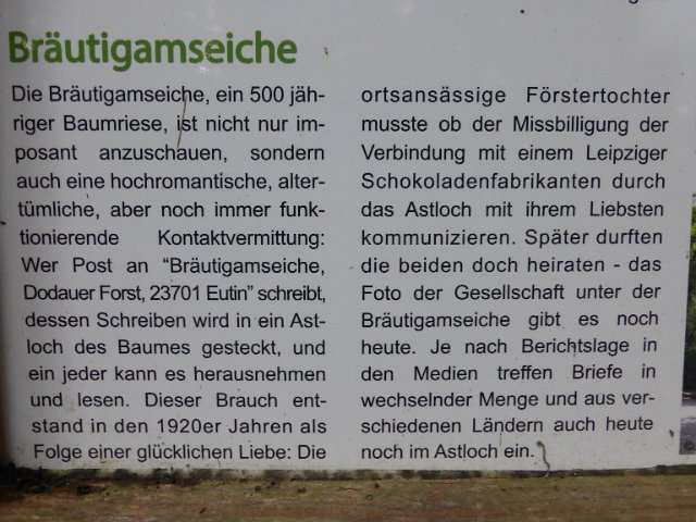 P1350615