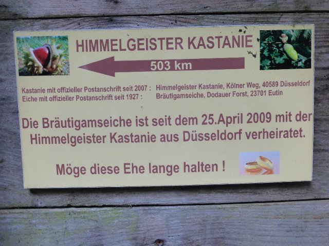 P1350623