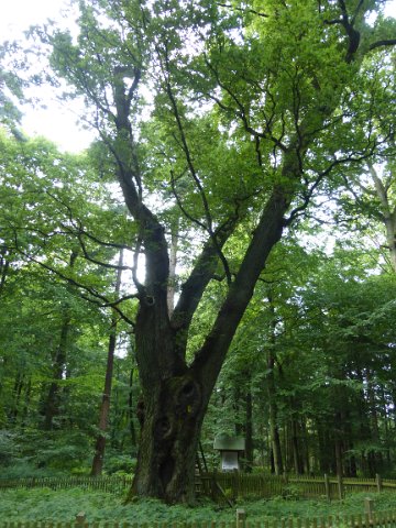 P1350627