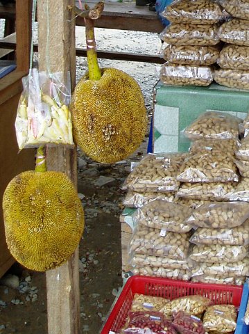 028_-Durian-Frucht
