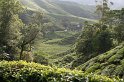 022_-Cameron-Highlands