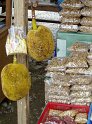 028_-Durian-Frucht