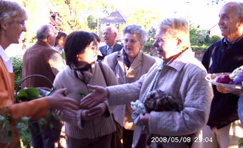 Original image