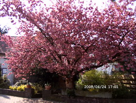 Original image