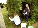 DSCF9041