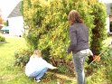 DSCF9047